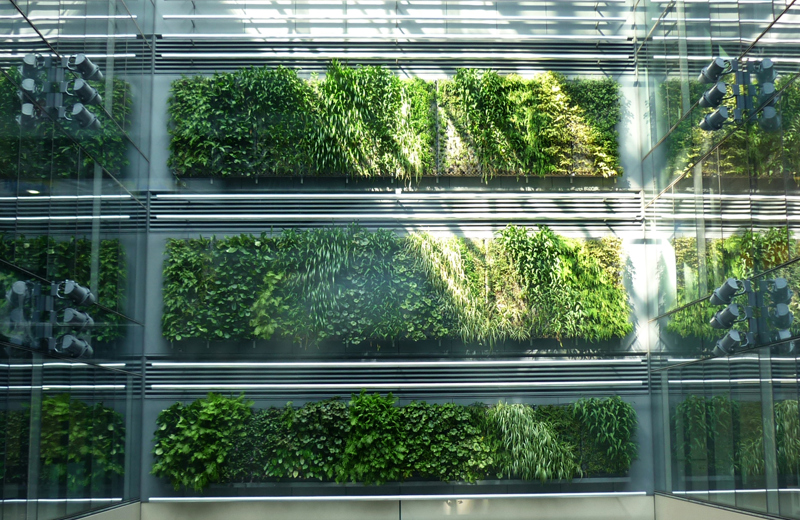 3-storey-high green walls in the Britomart precinct