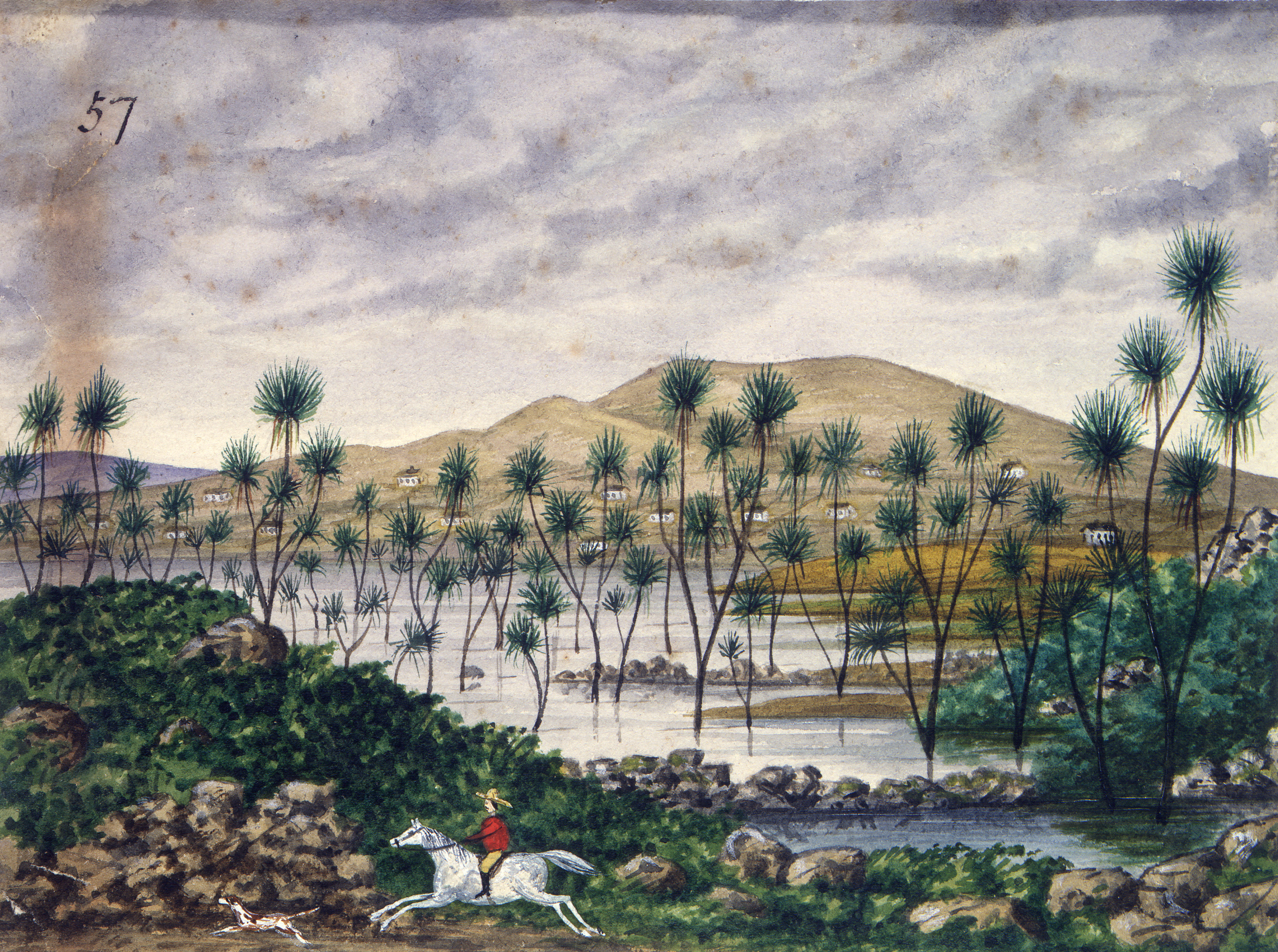 Cabbage Tree Swamp- Backhouse, John Philemon, 1845-1908. Alexander Turnbull Library, Wellington, New Zealand