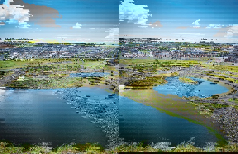Stonefields from the foot of Maungarei.